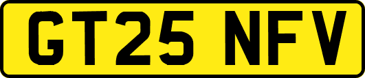 GT25NFV