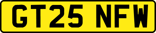 GT25NFW