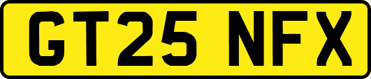 GT25NFX