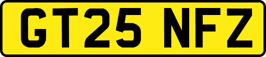 GT25NFZ