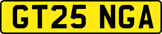GT25NGA