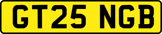 GT25NGB
