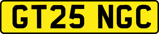 GT25NGC