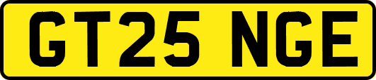 GT25NGE