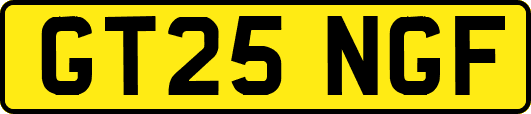 GT25NGF