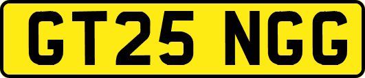 GT25NGG