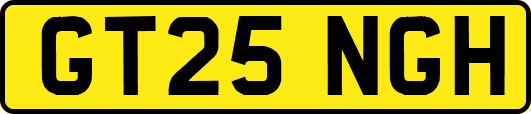 GT25NGH