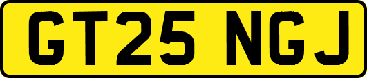 GT25NGJ
