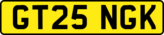 GT25NGK