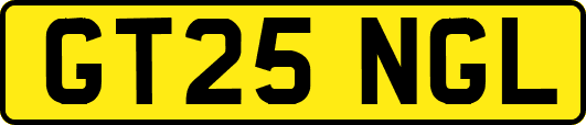 GT25NGL
