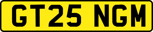 GT25NGM