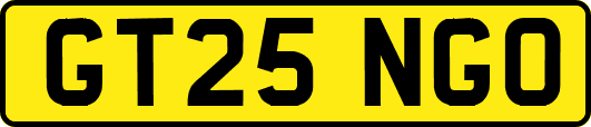 GT25NGO