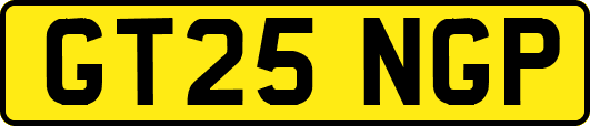 GT25NGP