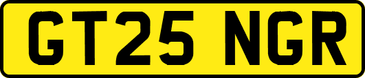 GT25NGR