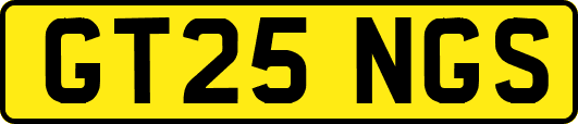 GT25NGS