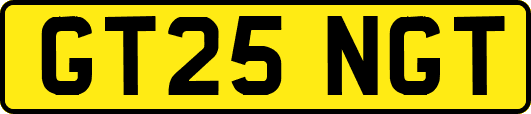 GT25NGT