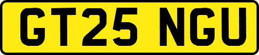 GT25NGU