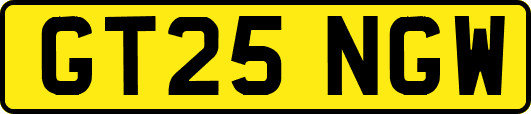 GT25NGW