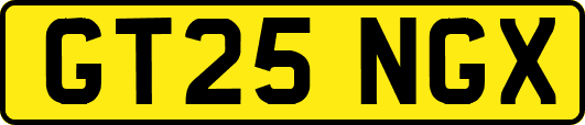 GT25NGX
