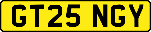 GT25NGY