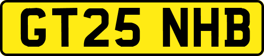 GT25NHB