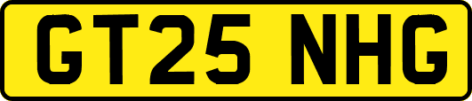 GT25NHG