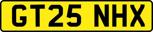 GT25NHX