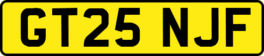 GT25NJF