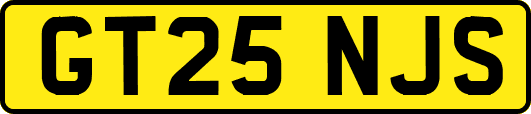 GT25NJS