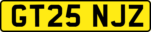 GT25NJZ