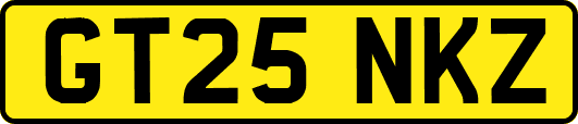 GT25NKZ