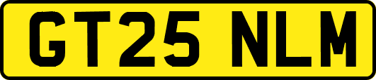 GT25NLM