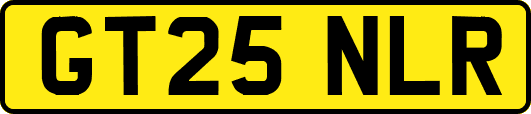 GT25NLR