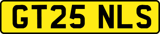 GT25NLS