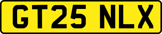 GT25NLX