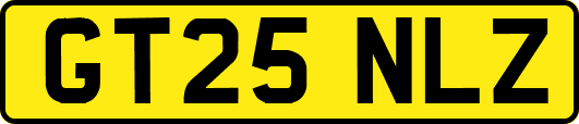 GT25NLZ