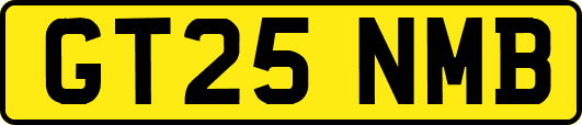 GT25NMB