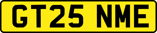 GT25NME