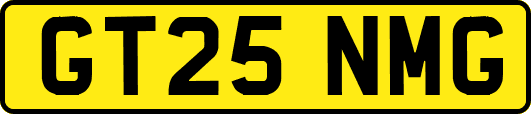 GT25NMG