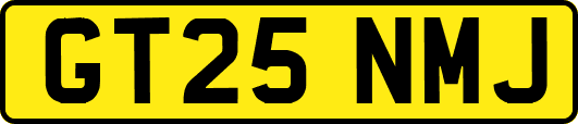 GT25NMJ