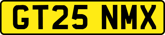 GT25NMX