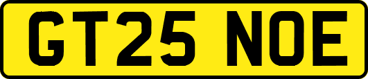 GT25NOE