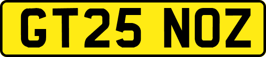 GT25NOZ