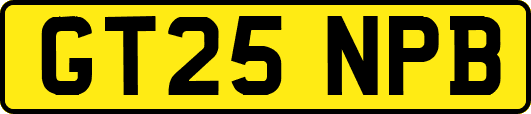 GT25NPB