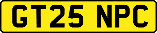 GT25NPC