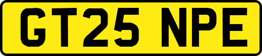 GT25NPE
