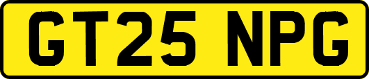 GT25NPG
