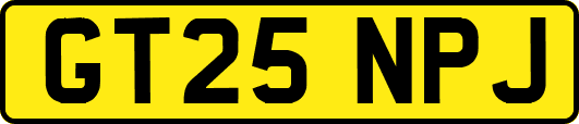 GT25NPJ