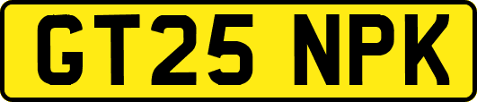 GT25NPK