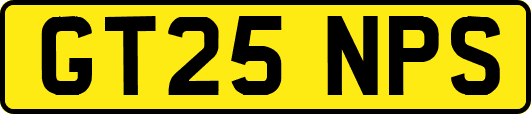 GT25NPS